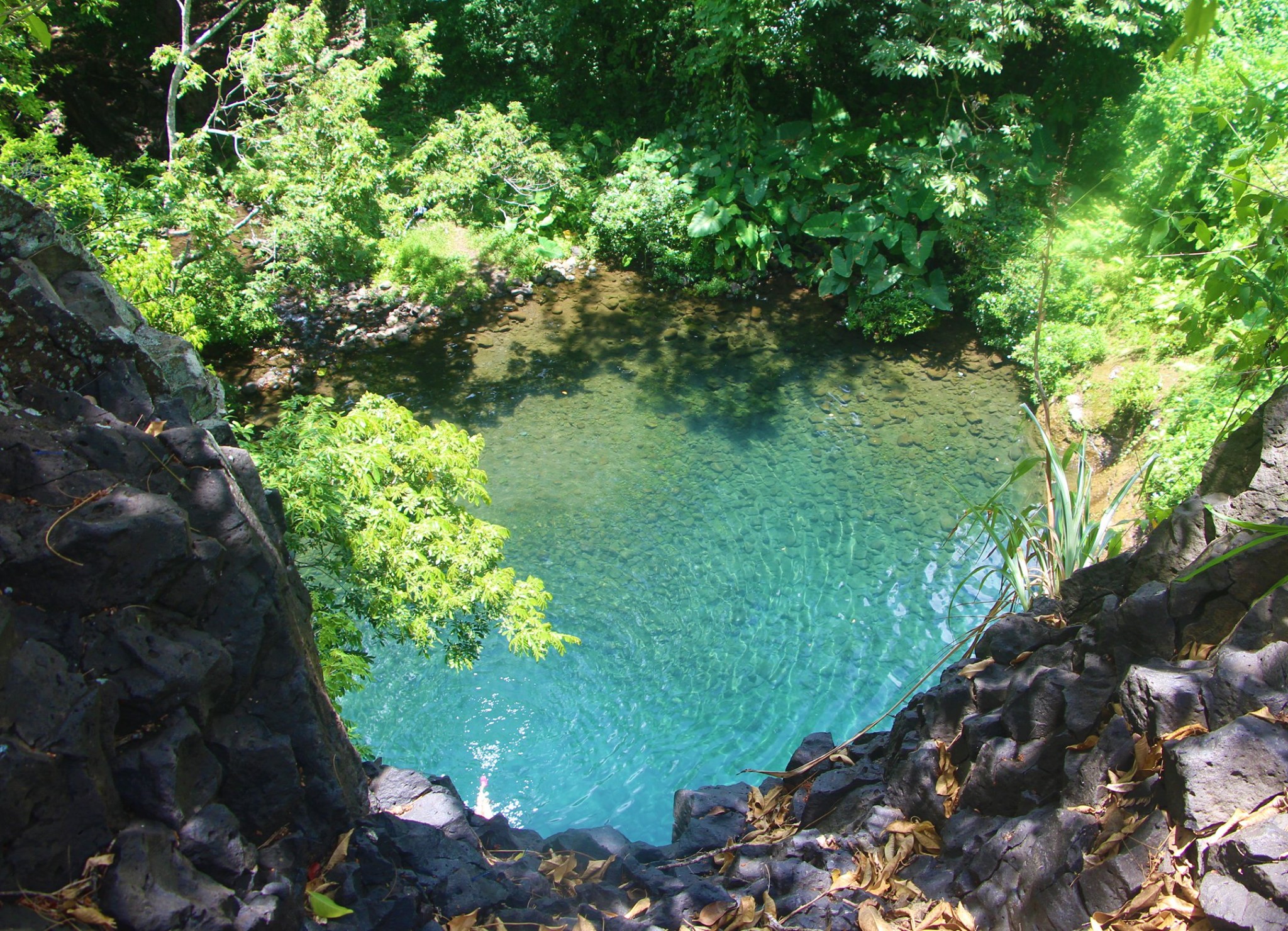 Poza Azul